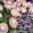 Rosa Maria Avatar