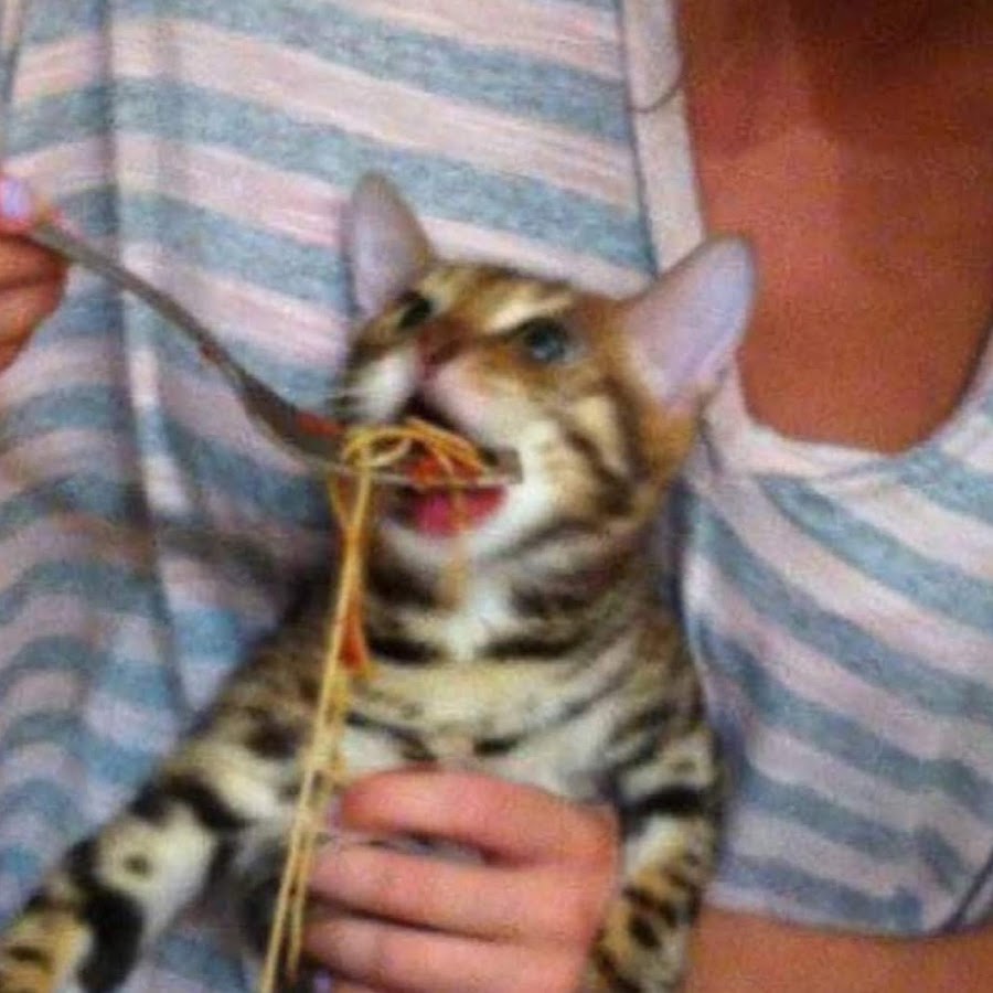 Steam Workshop::hehehehehehehe