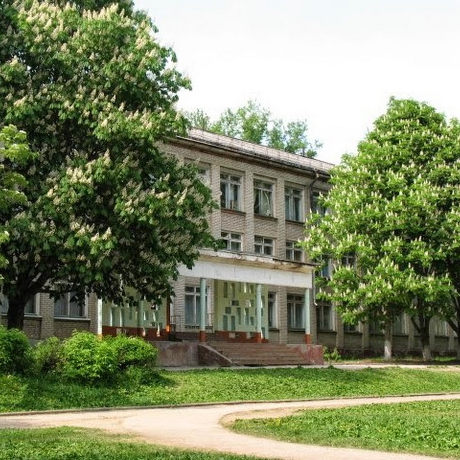 Гуманитарно-математический лицей тула. Школа 14 коломна. Школа моу цо номер 1 п волово. Цо 14 тула. 14 школа тула.