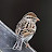 Pinesparrow