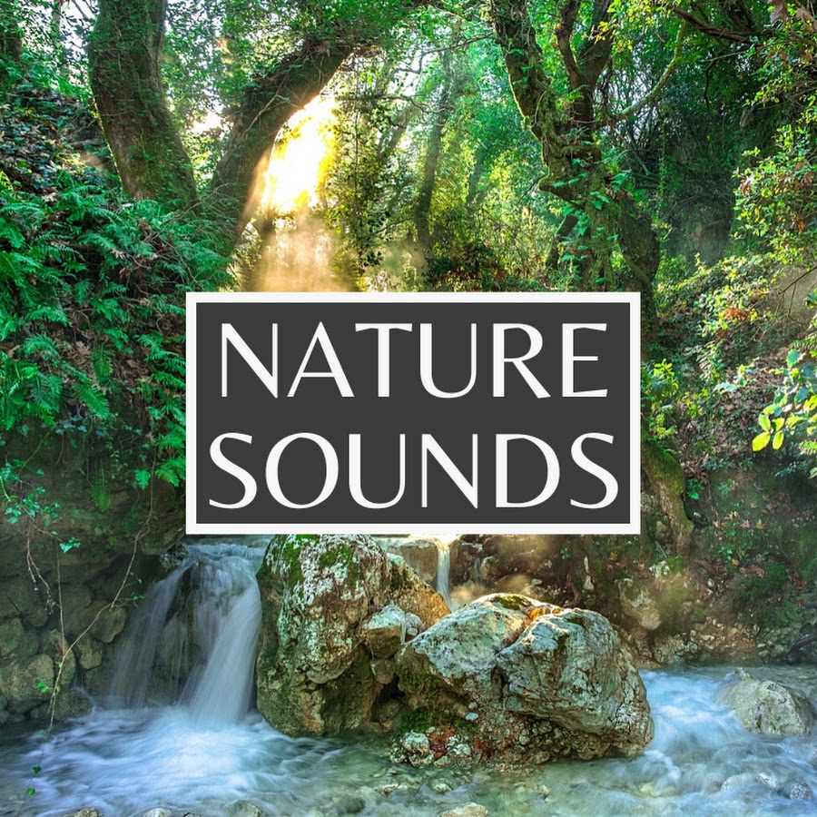 Antagelser, antagelser. Gætte tack konvergens Nature Sounds – Relaxing Meditation Music - YouTube