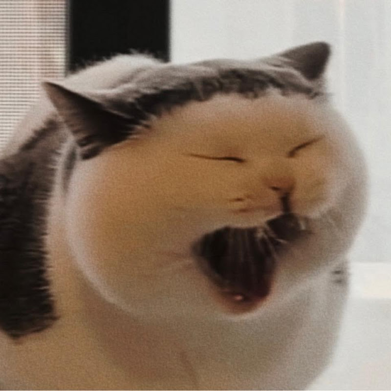 吳憾 - 網紅的藏寶箱 