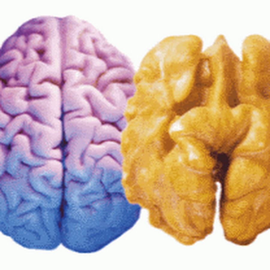 Pin on Breast cancer journey