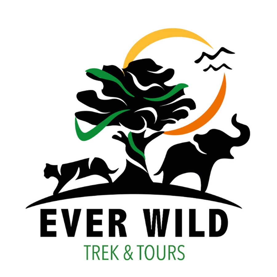 Everwild скриншоты. Everwild игра. Everwild gameplay. Wild yam купить. Everwild.