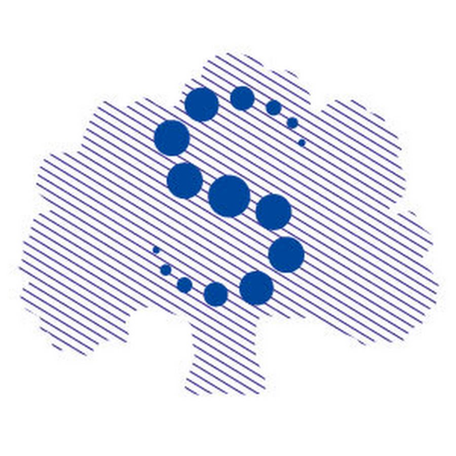 Шаблон презентации сеченовского университета