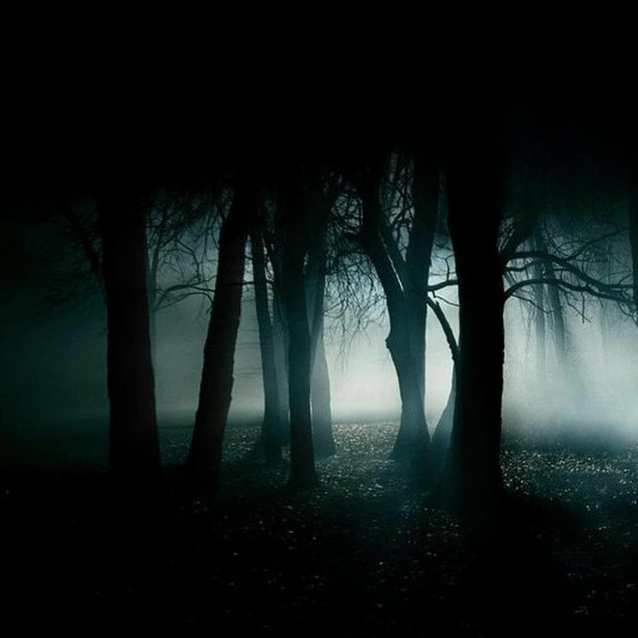Темный лес / the woods. Что такое темные места. Криппи лес. Страшный дом. Картинки мистические места.