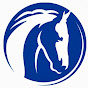 World Horse Welfare  YouTube Profile Photo