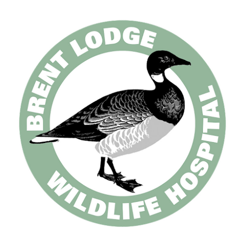 Brent Lodge Wildlife Hospital