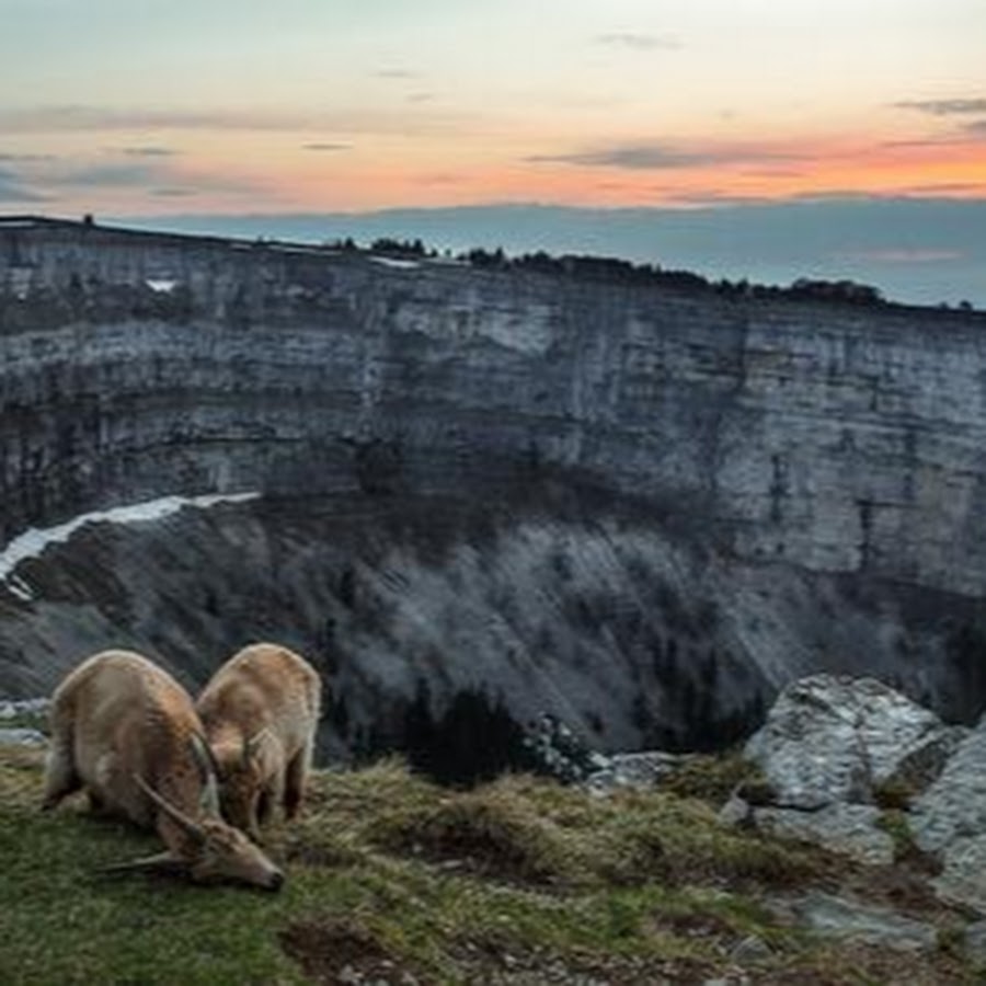 Де кре. Кре-дю-Ван. Creux du van Швейцария. Крё-дю-Ван вид сверху. Кре дю Ван Швейцария фото.