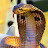 Snake Boy