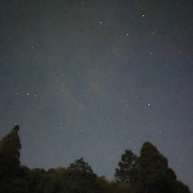 ウカペコチャンネルの年収や時給など収入情報を大公開 Youtuber ユーチューバー ならtuberチャンネル