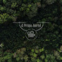 4 Props Aerial YouTube Profile Photo