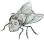 The Jayleno Fly