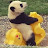kun