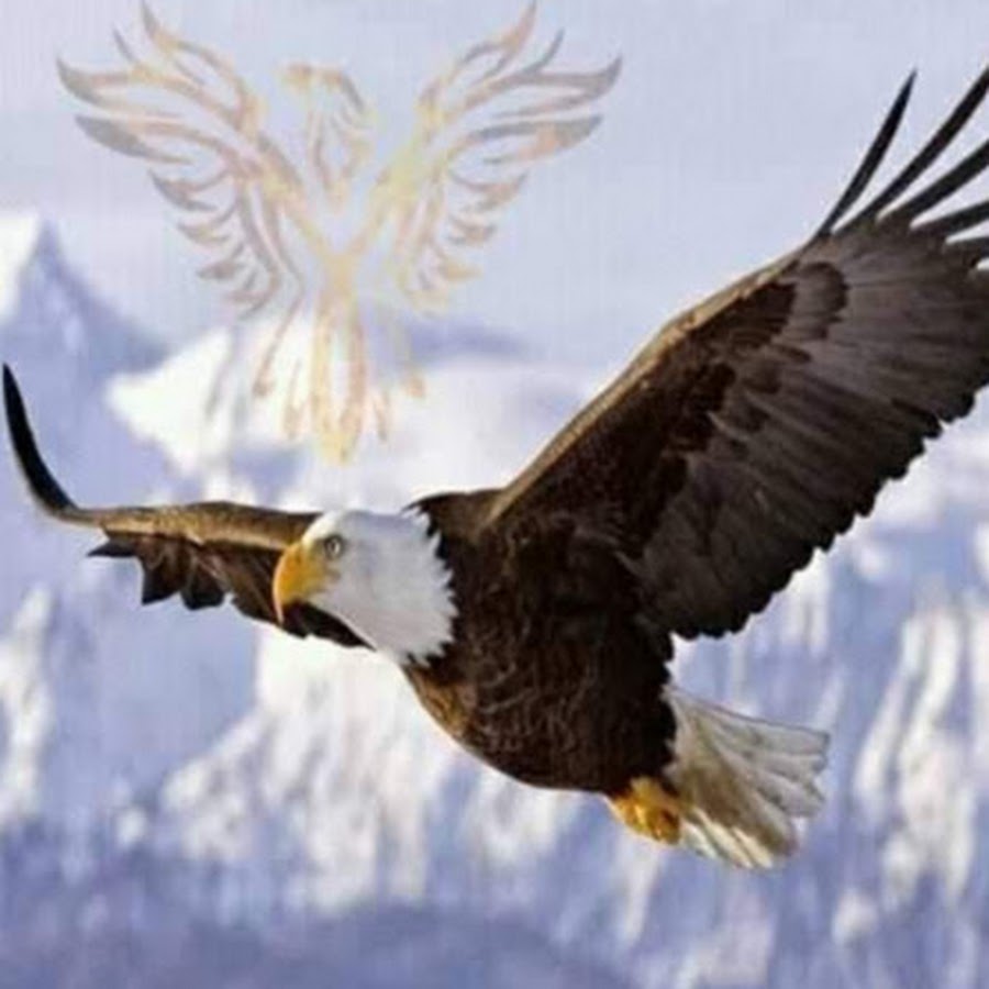 геологическое строение и рельеф алтая. стихотворение лермонтова кавказ подо мною. кавказ предо мною один в вышине лермонтов. горы кавказа названия. орел с отдаленной поднявшись вершины парит.