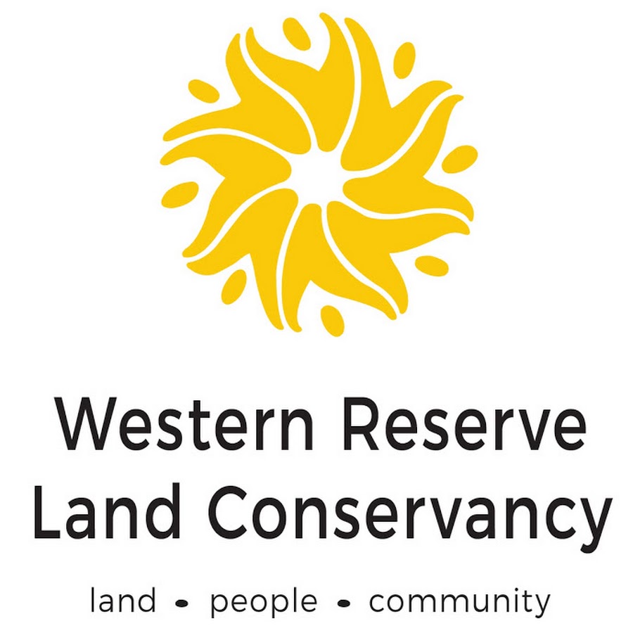 AKedOLTtmdR2fwWb3y91amnblax8kJuTDWsEYPmOqVZlw=s900ckc0x00ffffffnorj