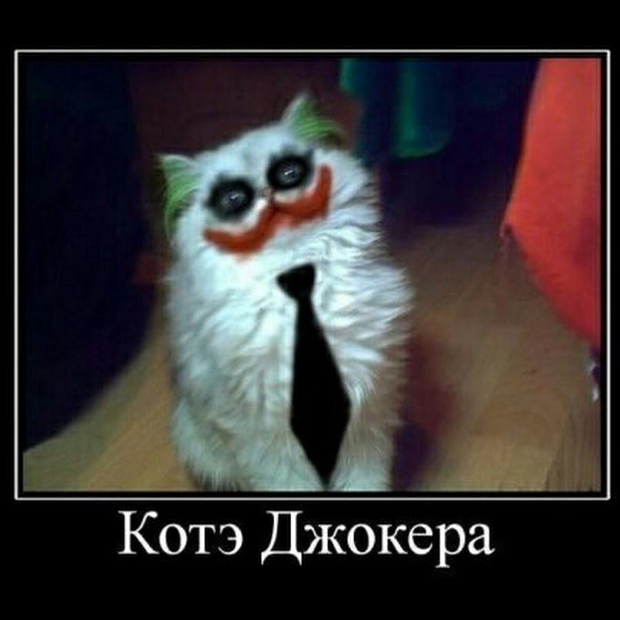 Кот Джокер