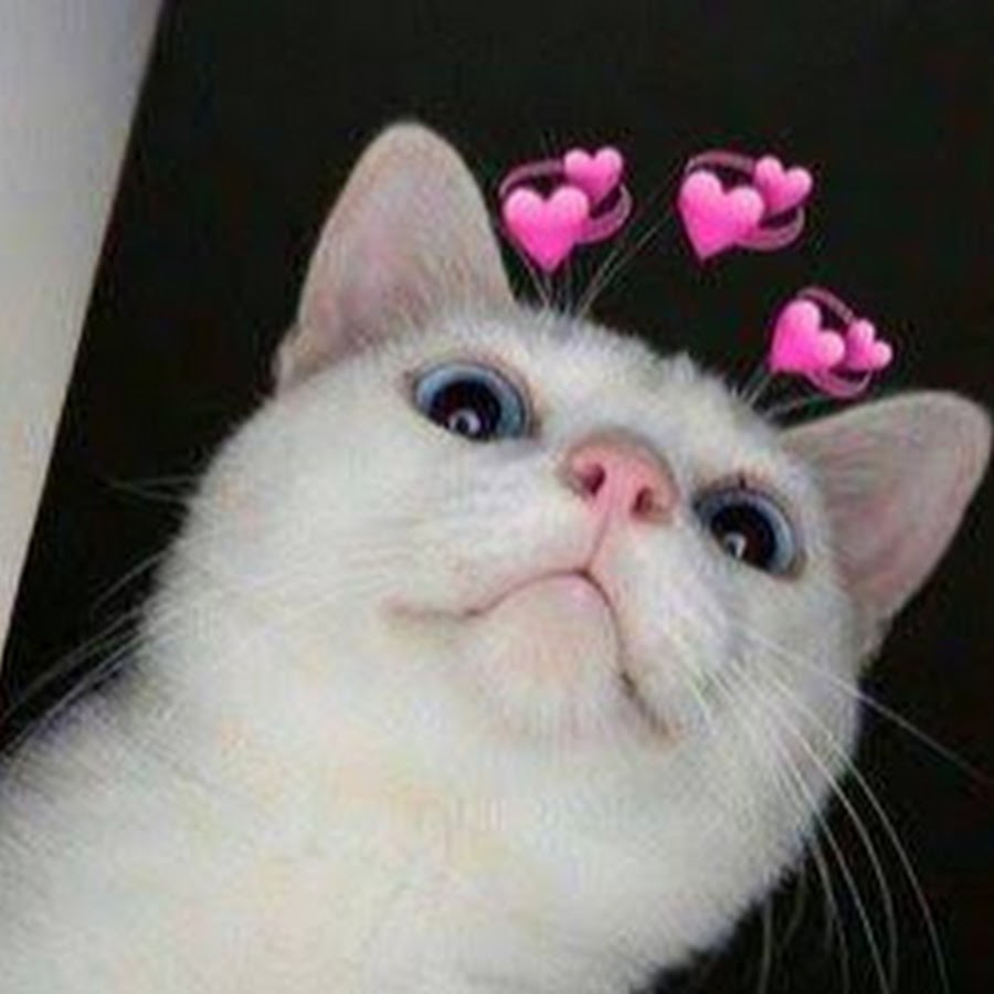 Comunidad de Steam :: Guía :: Как успокоиться после потной катки с Кемпером