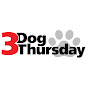 3 Dog Thursday YouTube Profile Photo