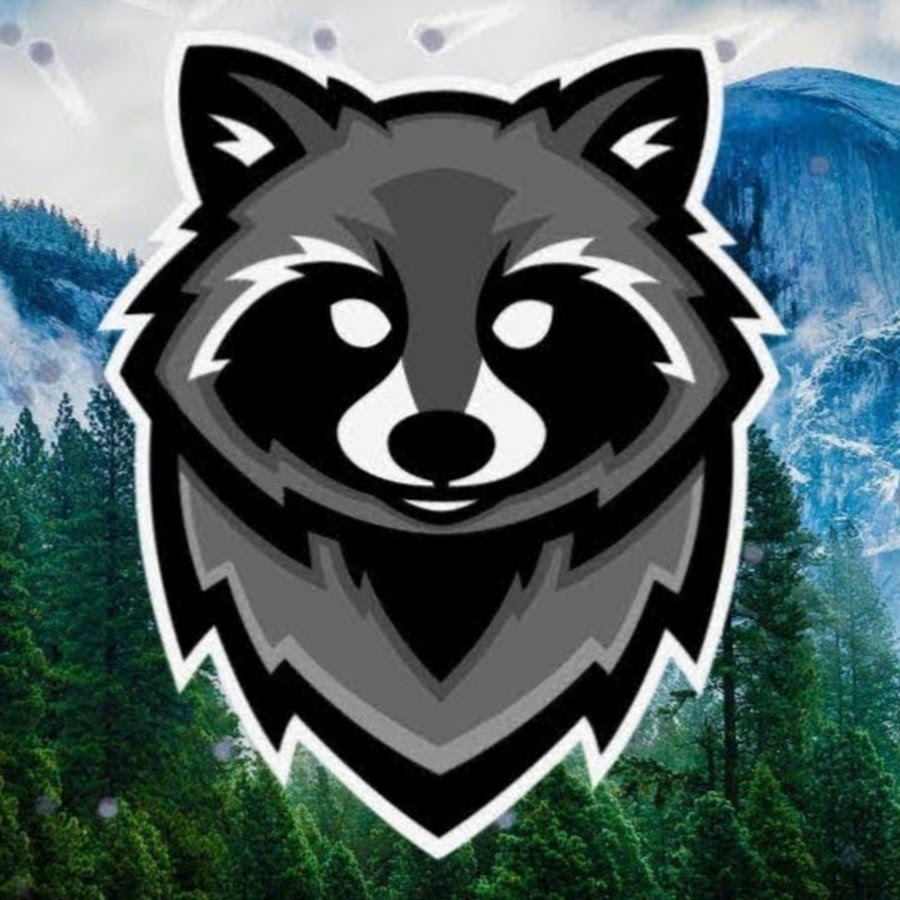 Енот на аву. Брутальный енот. Енот в баре. Enot su. Енот на аву.