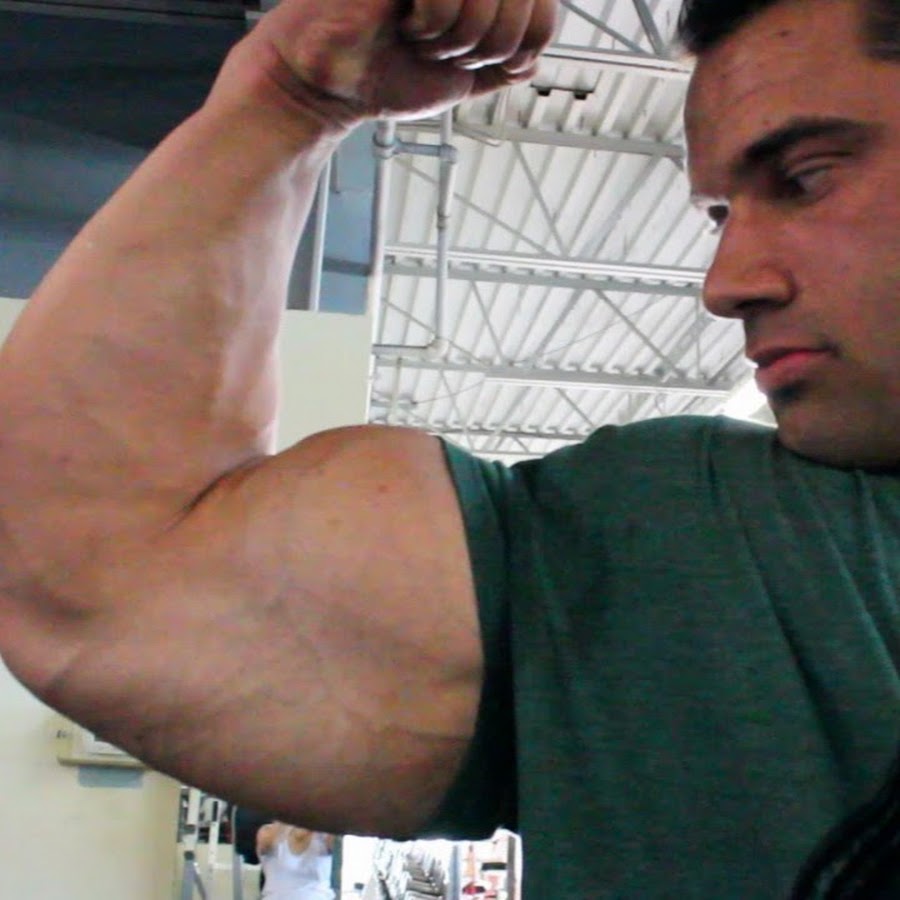 Max muscle big Bodybuilding