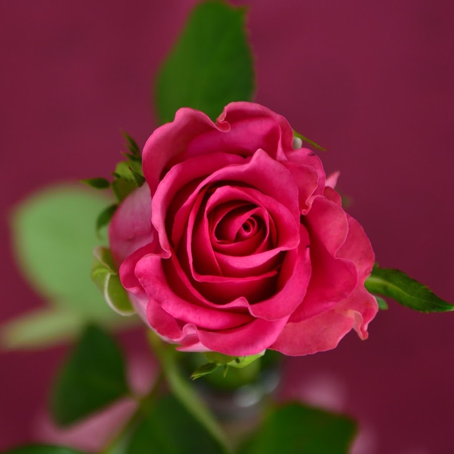 Татьяна Воробьёва - YouTube 