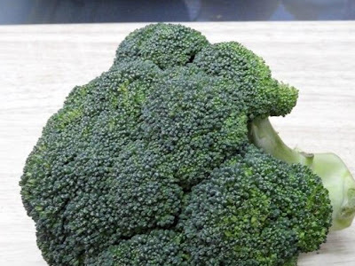 200以上 狐 壁紙 iphone 329929-��� イラスト iphone 壁紙