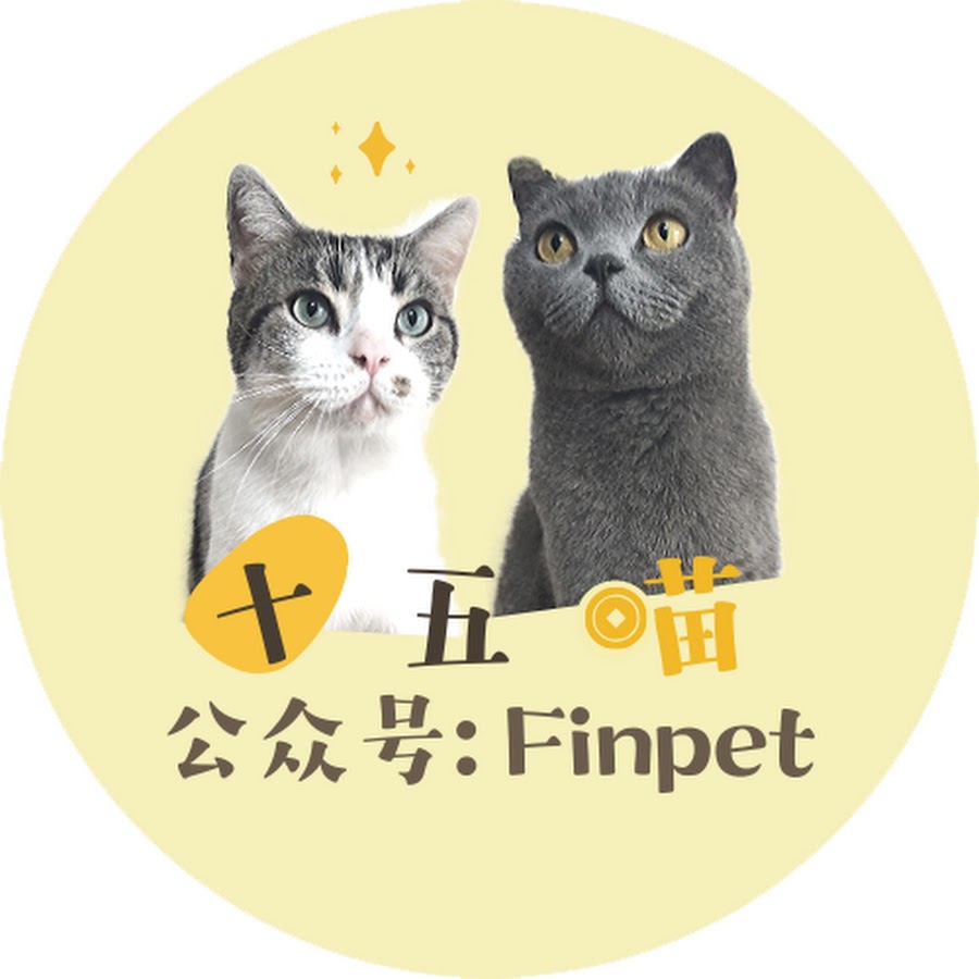 十五喵金融 Youtube