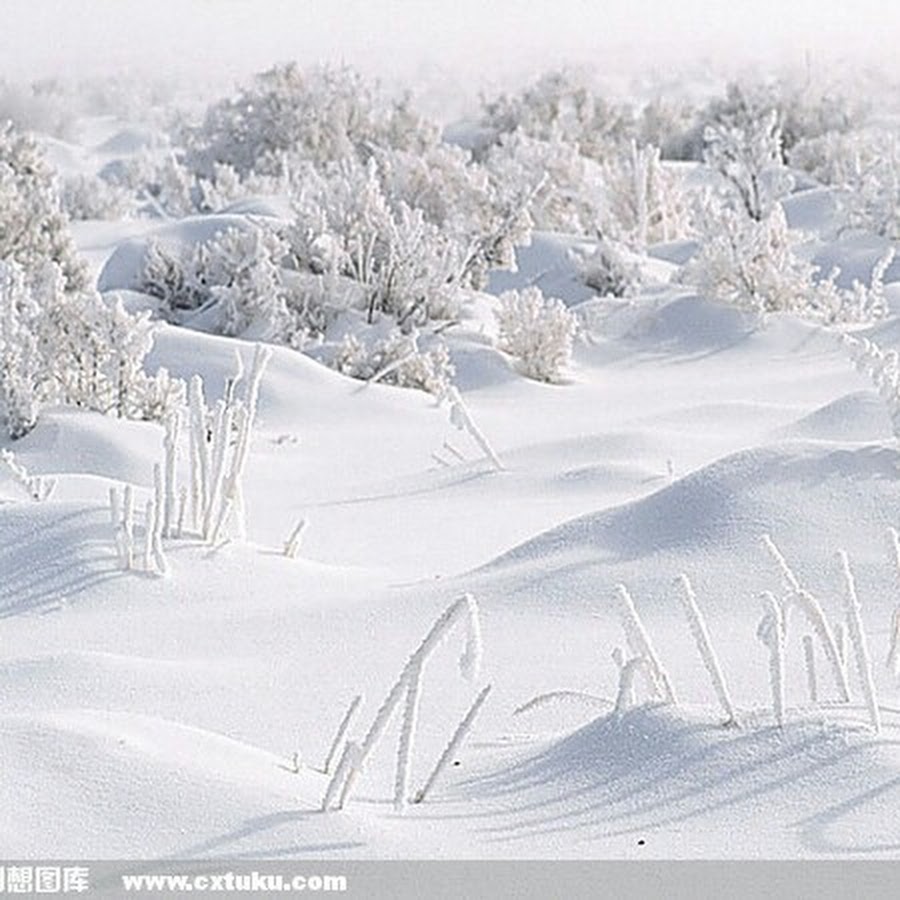 Зачем земле снег. Зимнее поле. Белый снег. Изображение снега. Заснеженное поле.