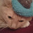 My cat is a bastard Avatar