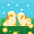 yoonseul