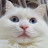 이더리움클래식
