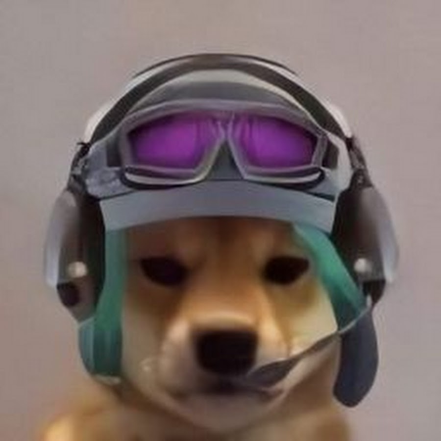 Watermelon Dog Cute dog pictures, Cute puppies images, Cute dogs