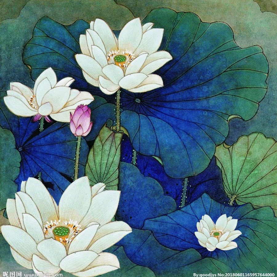 莲花朵朵 Youtube