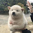 생라면