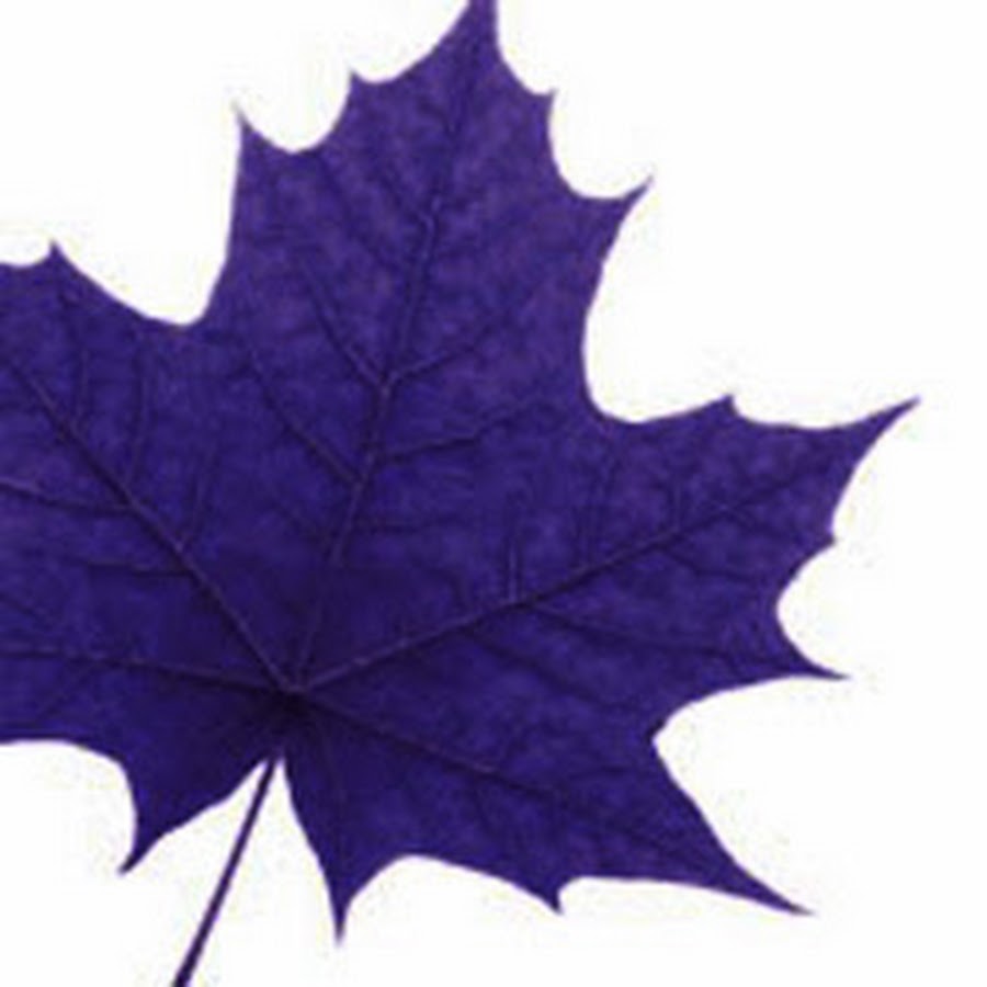 Wilfrid Laurier University Youtube