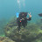 Lost in Bali with Senja Aldee Avatar