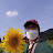 김부영