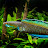 Reggie R Wilson Avatar