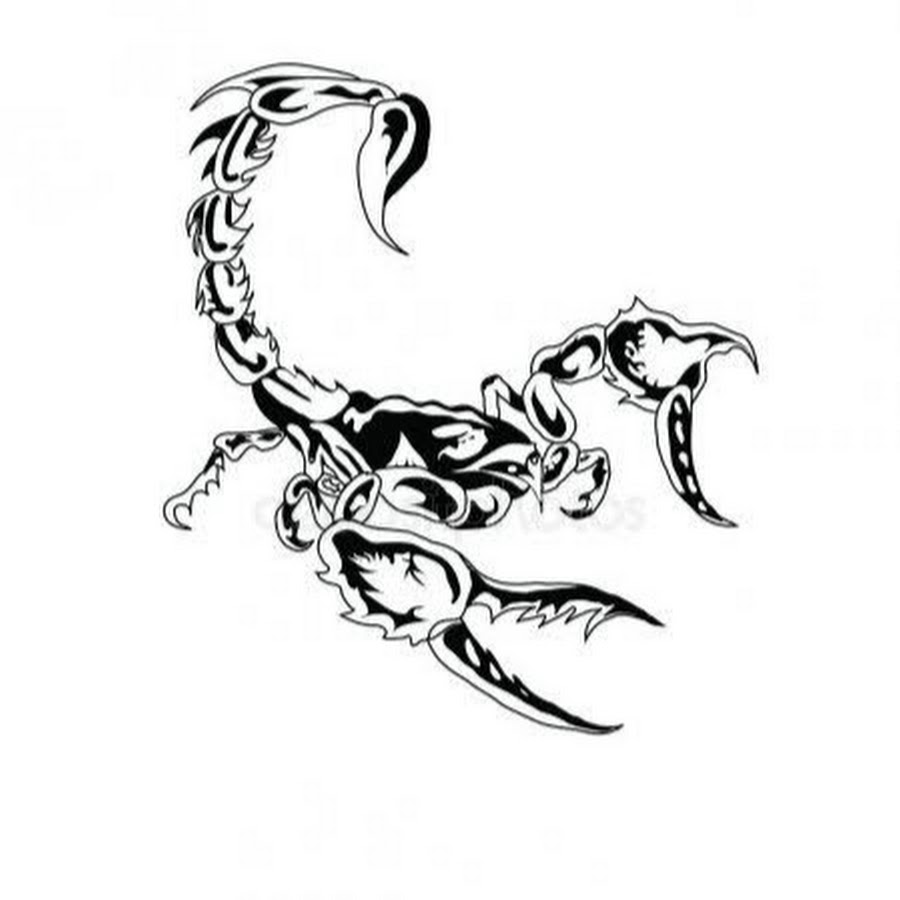 Рисунок Скорпион 100х100