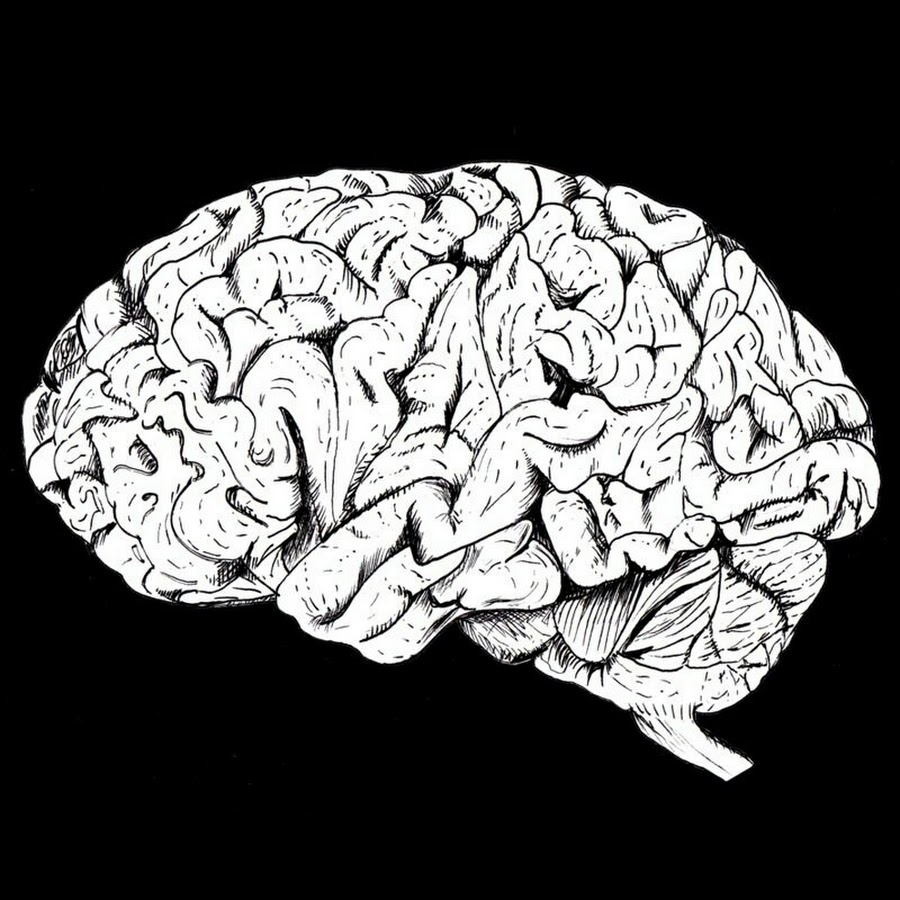 Мозг качается. Mental exercises. Мозг со штангой. Нейроны в голове. Мозг качается.