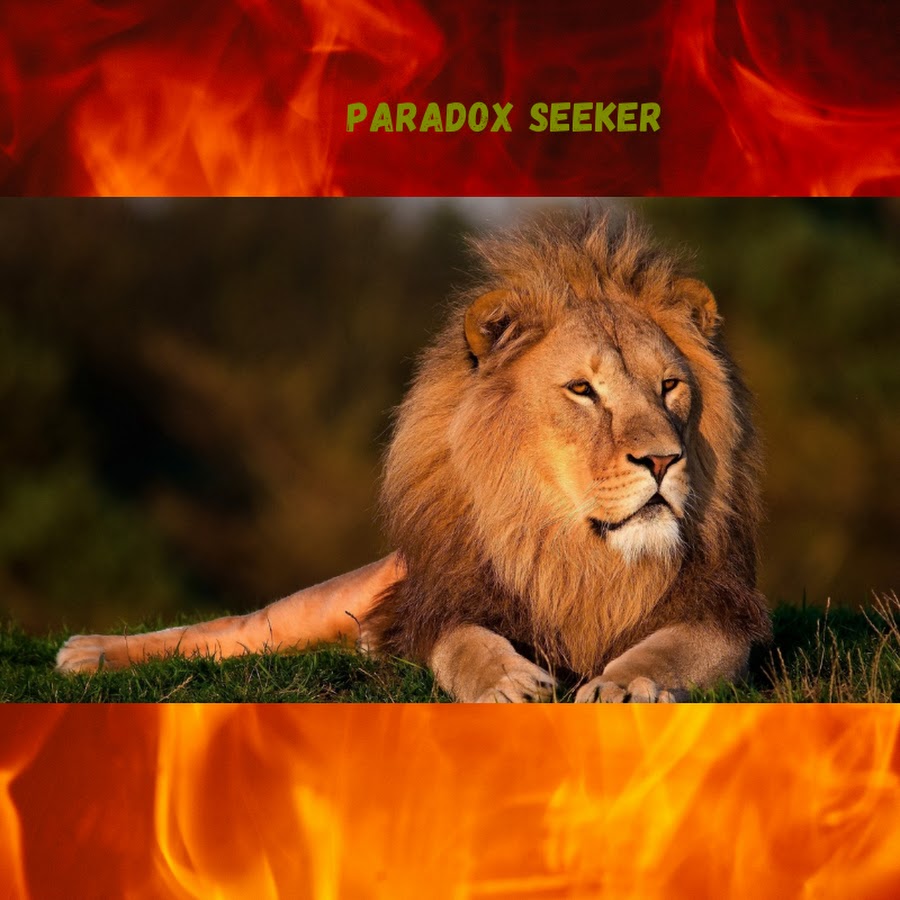 Paradox Seeker Youtube