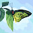 Runamoni Das Avatar