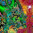 Ban Parlous