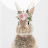 Cutesy Bunny