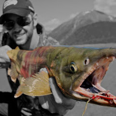 Thumbnail of related channel