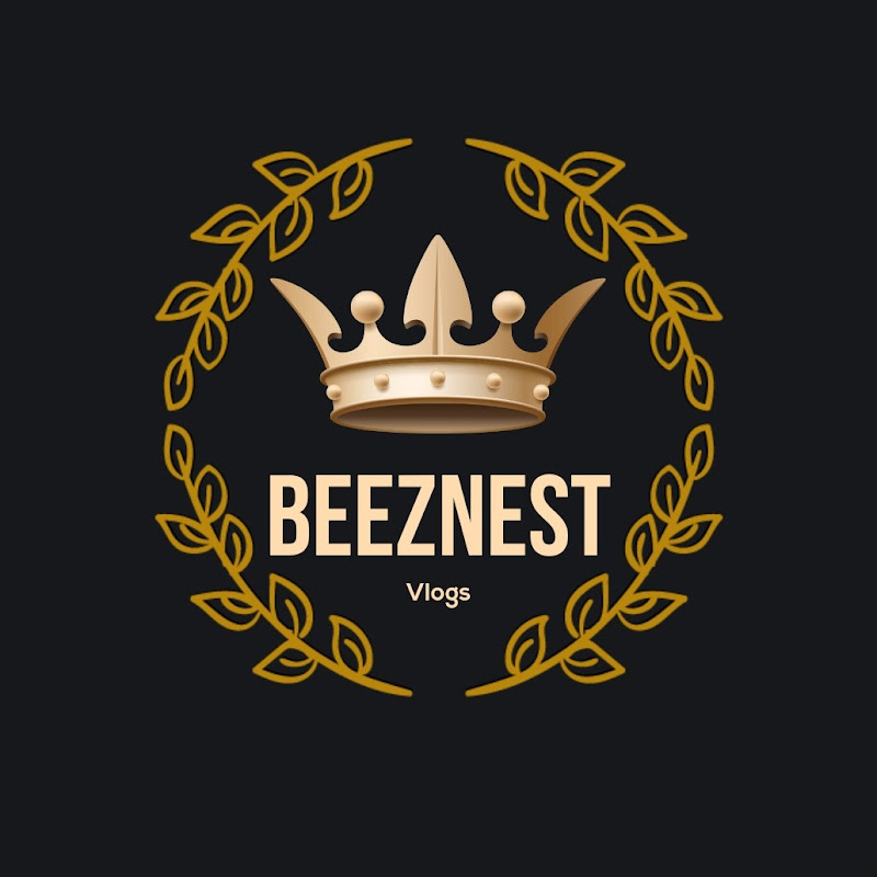 BeezNest Vlogs