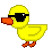 PatoDoLago