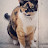 Tracey H Avatar