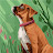 lilia L Avatar